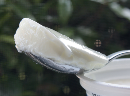 Pós acidificação e perda de viscosidade na produção de Iogurtes: causas e soluções