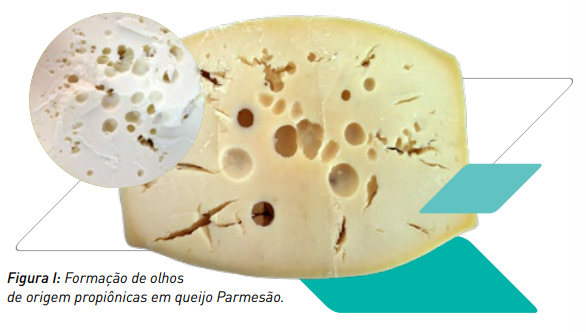 A fermentação propiônica em Parmesão