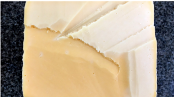 Sacco System reforça sua presença na América Latina coma aquisição da SaccoBrasil e BioInsumos (Uruguai)